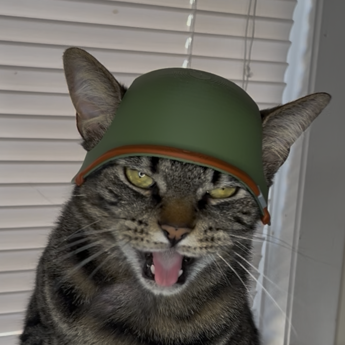 WW2 American Cat Helmet
