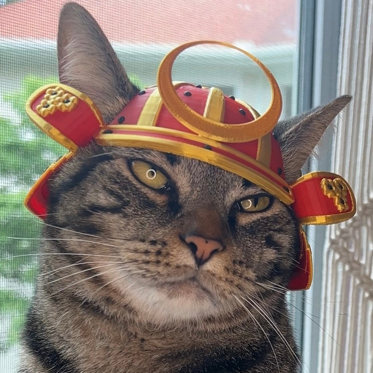 Samurai Bimbus Cat Helmet