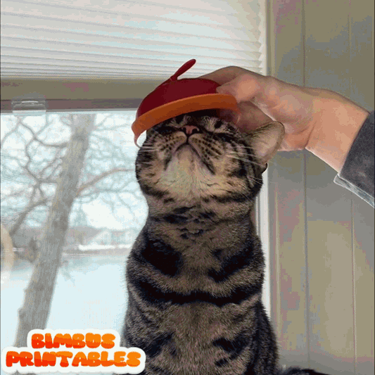 Propeller Cat Cap
