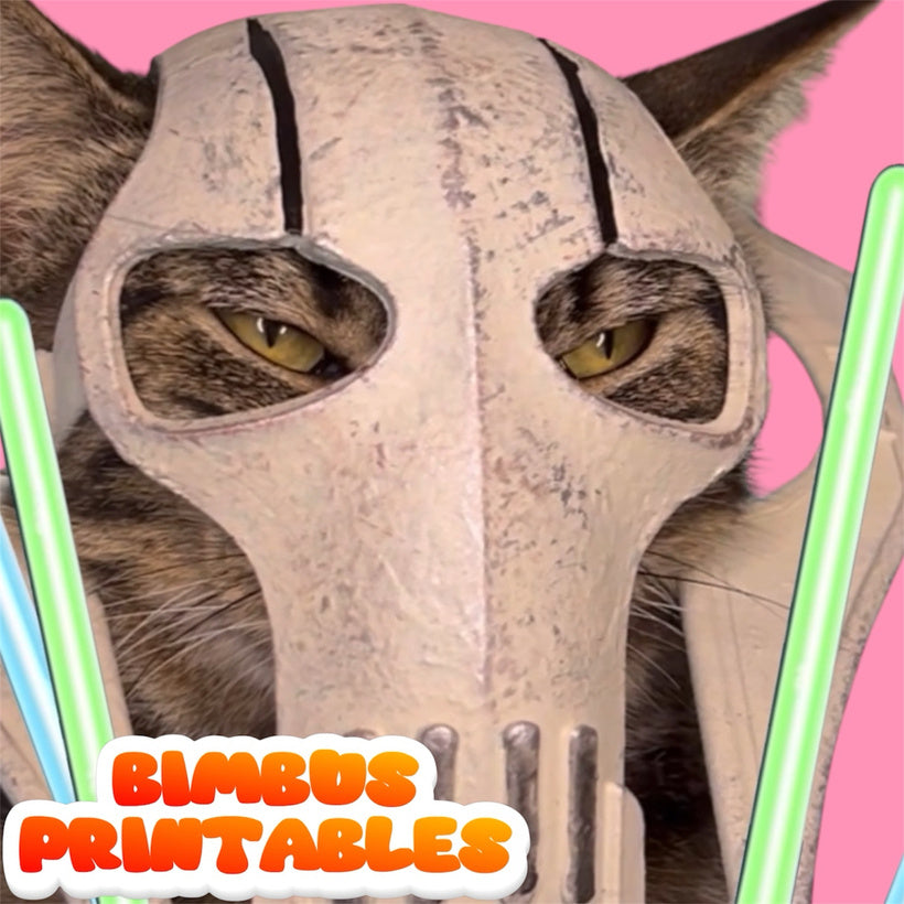 General Bimbus Cat Helmet [Physical Product]