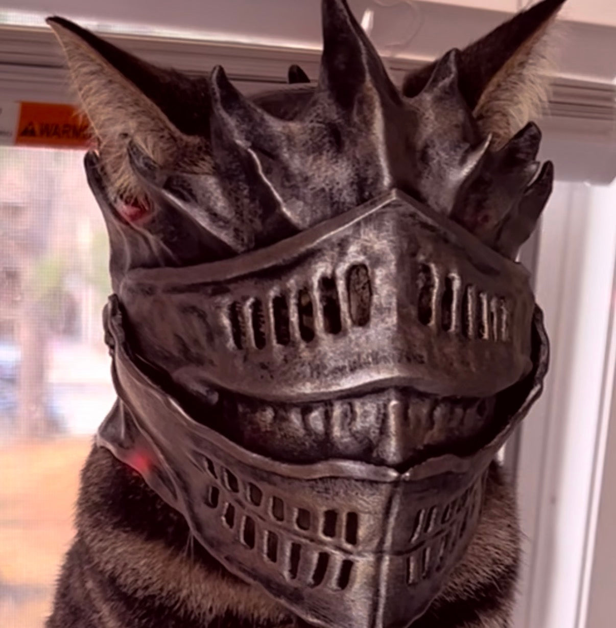 Ashen Cat helmet