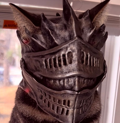 Ashen Cat helmet