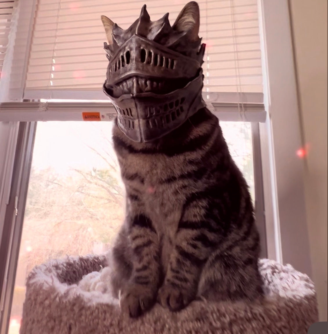 Ashen Cat helmet
