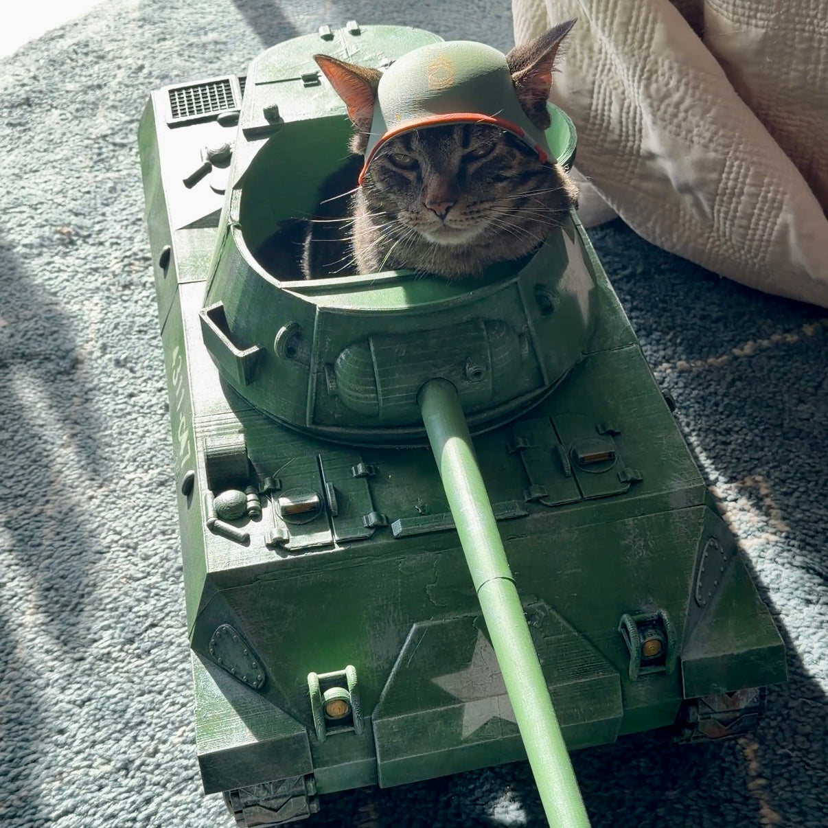 Cat Tank
