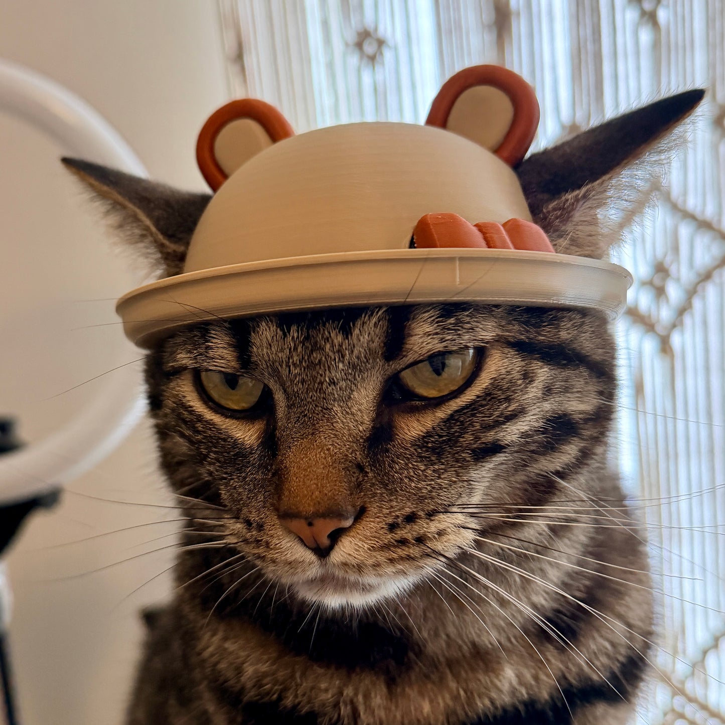 Bear Cat helmet
