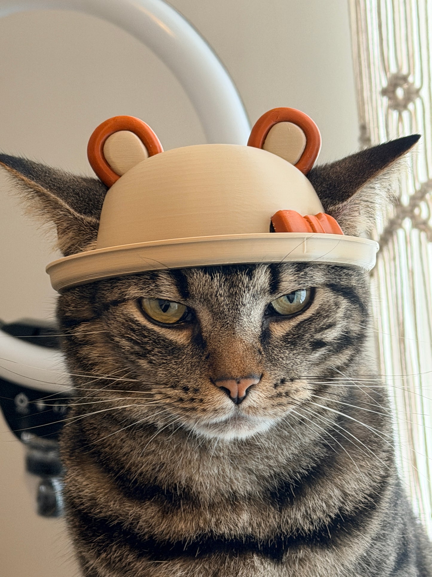 Bear Cat helmet