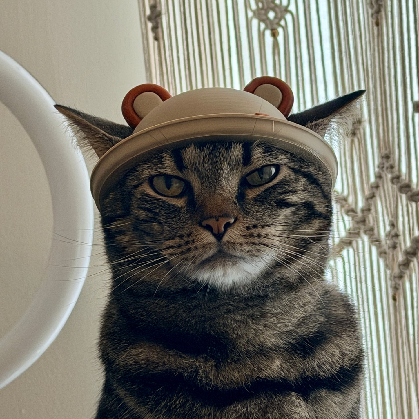 Bear Cat helmet