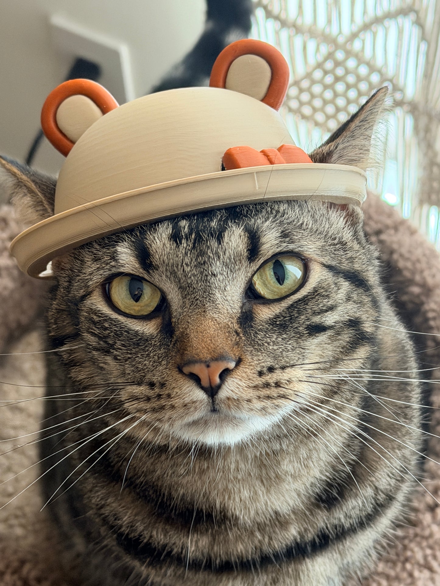 Bear Cat helmet