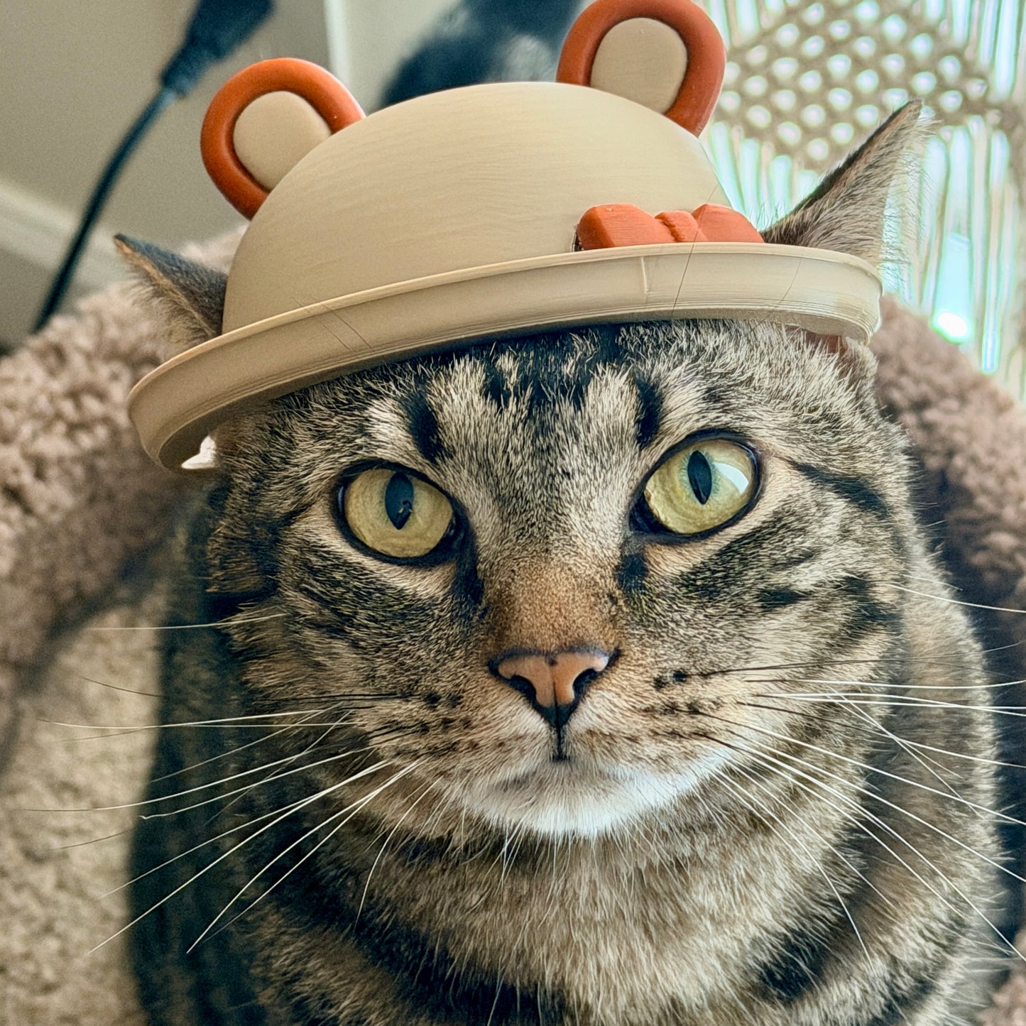 Bear Cat helmet