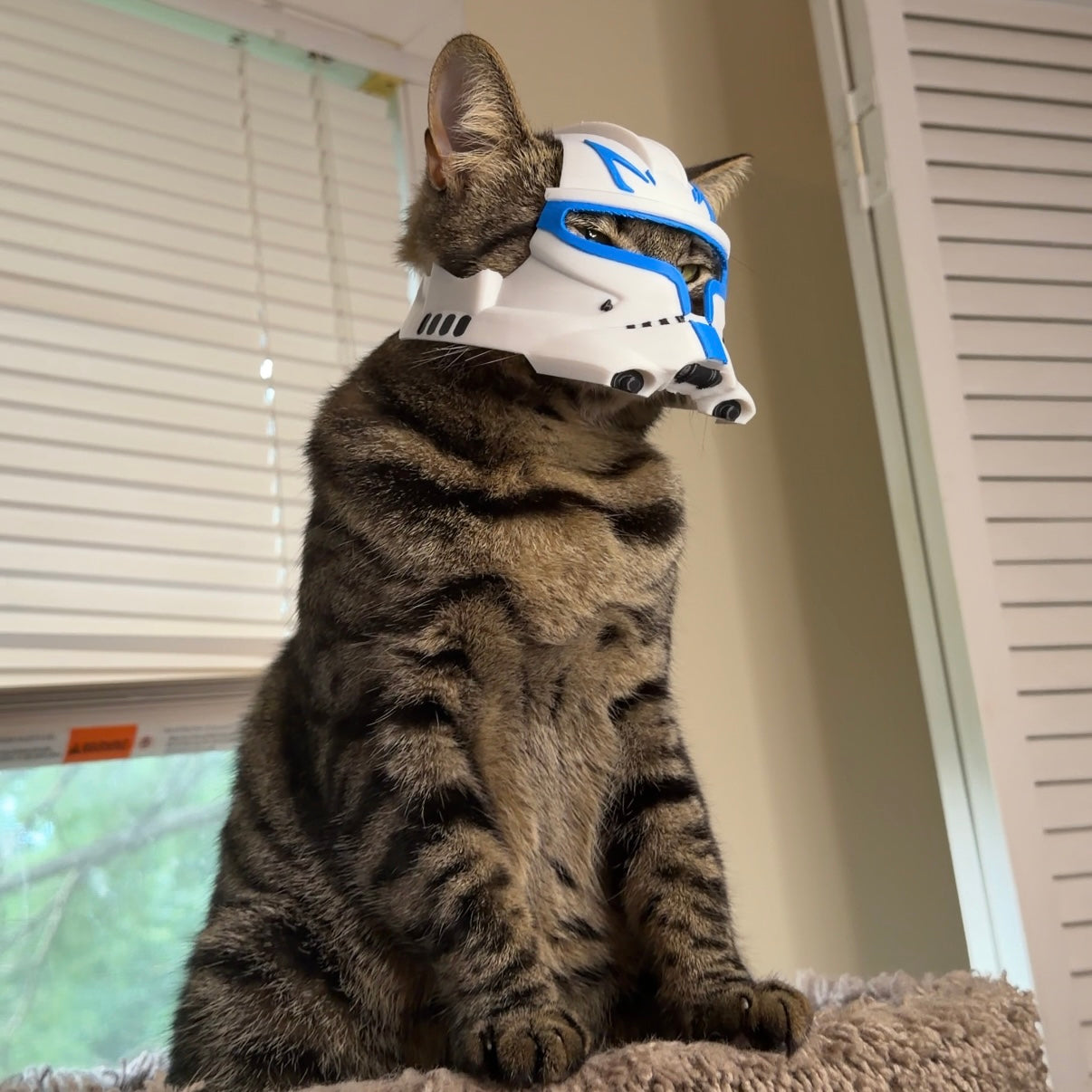 Clone Captain Bimbus Helmet