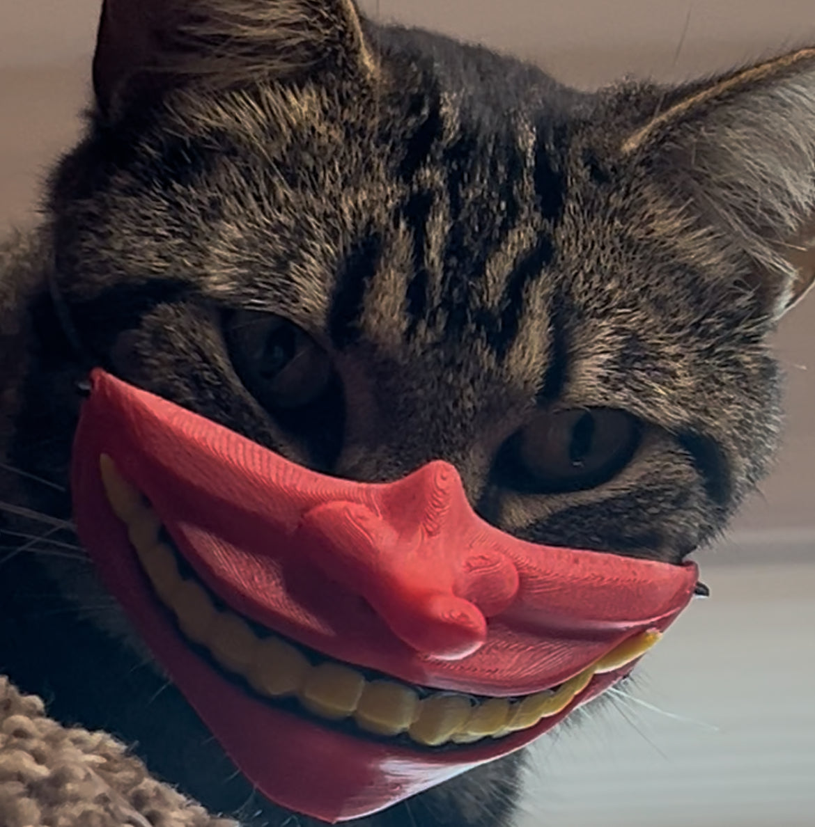 Mego Nose, Tengu Cat Mask