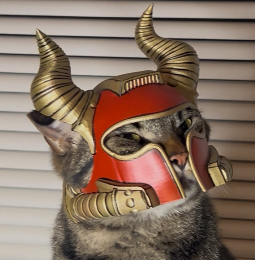 Chaos Knight Bimbus Cat Helmet