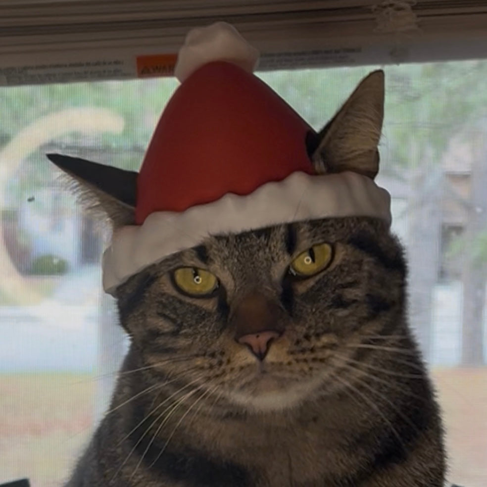Santa Bimbus Cat Hat