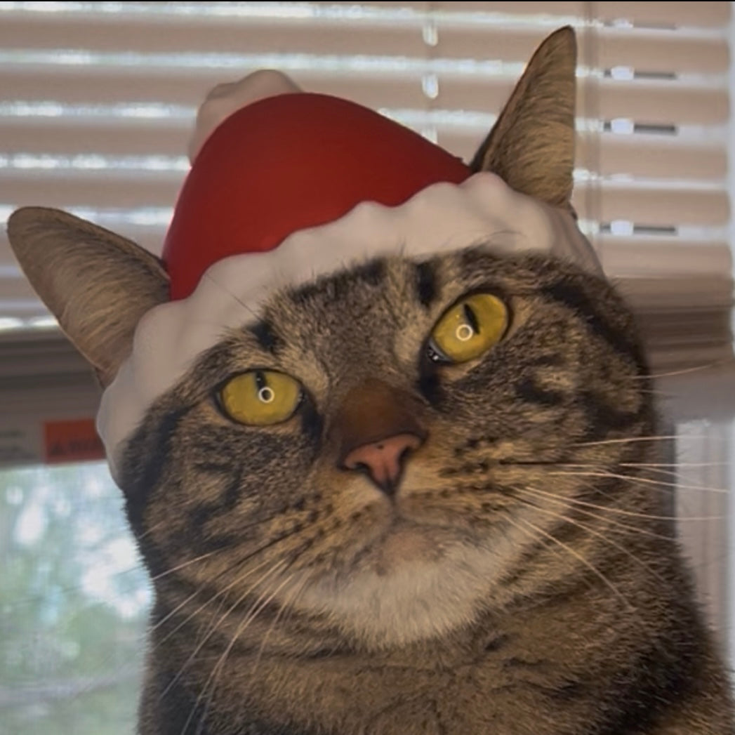 Santa Bimbus Cat Hat