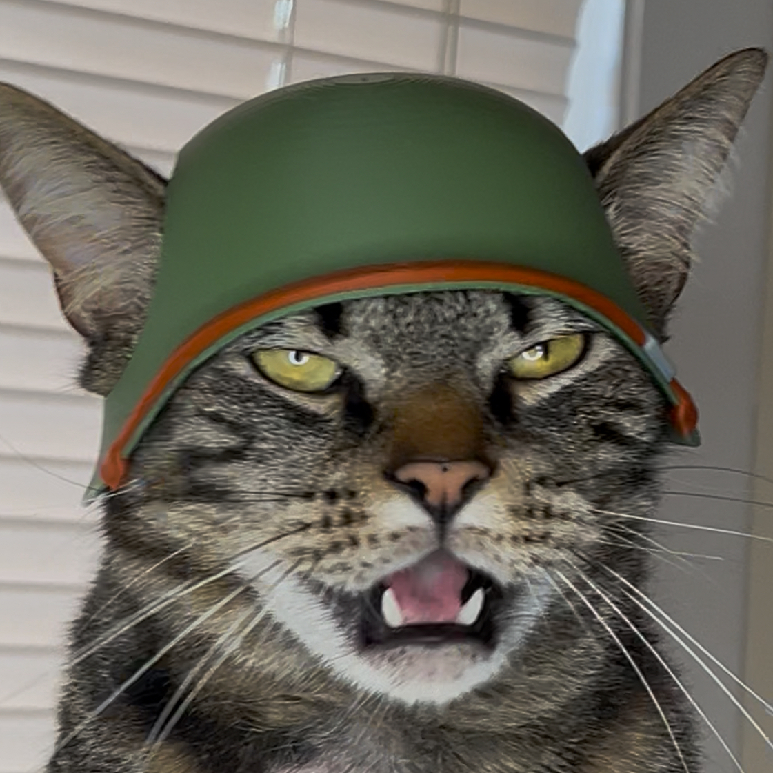 WW2 American Cat Helmet