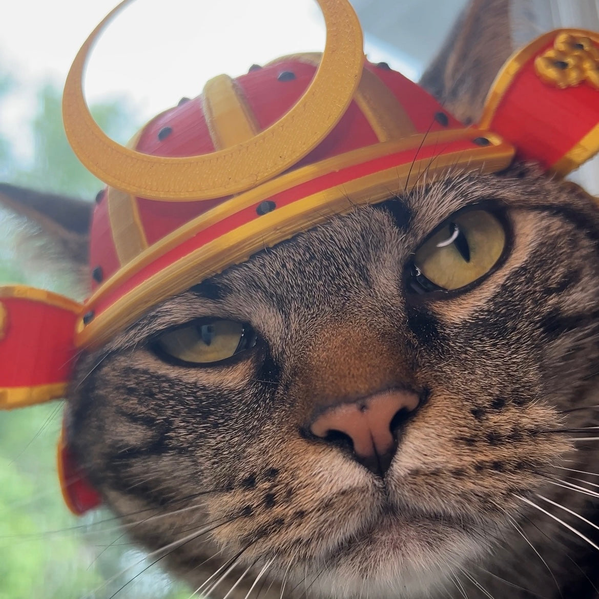 Samurai Bimbus Cat Helmet