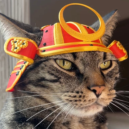 Samurai Bimbus Cat Helmet