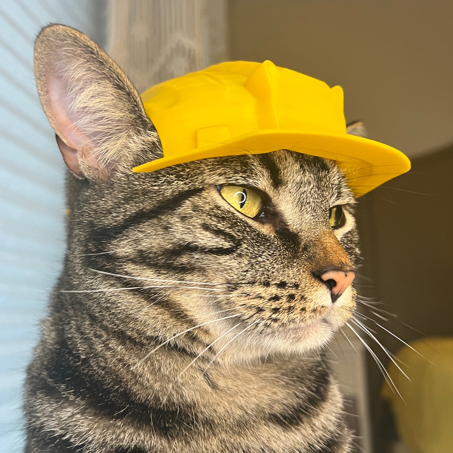 Construction Cat Helmet [Physical Product]