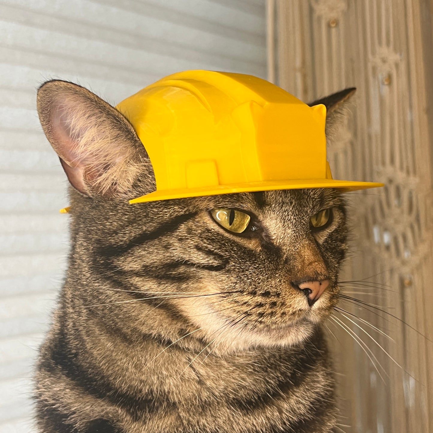 Construction Cat Helmet [Physical Product]