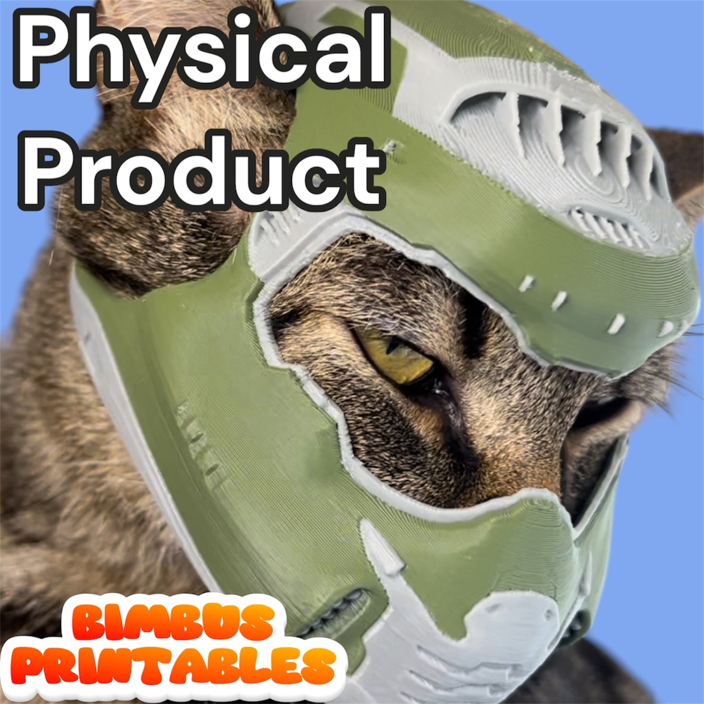 Bimbus The Slayer Cat Helmet  [Physical Product]