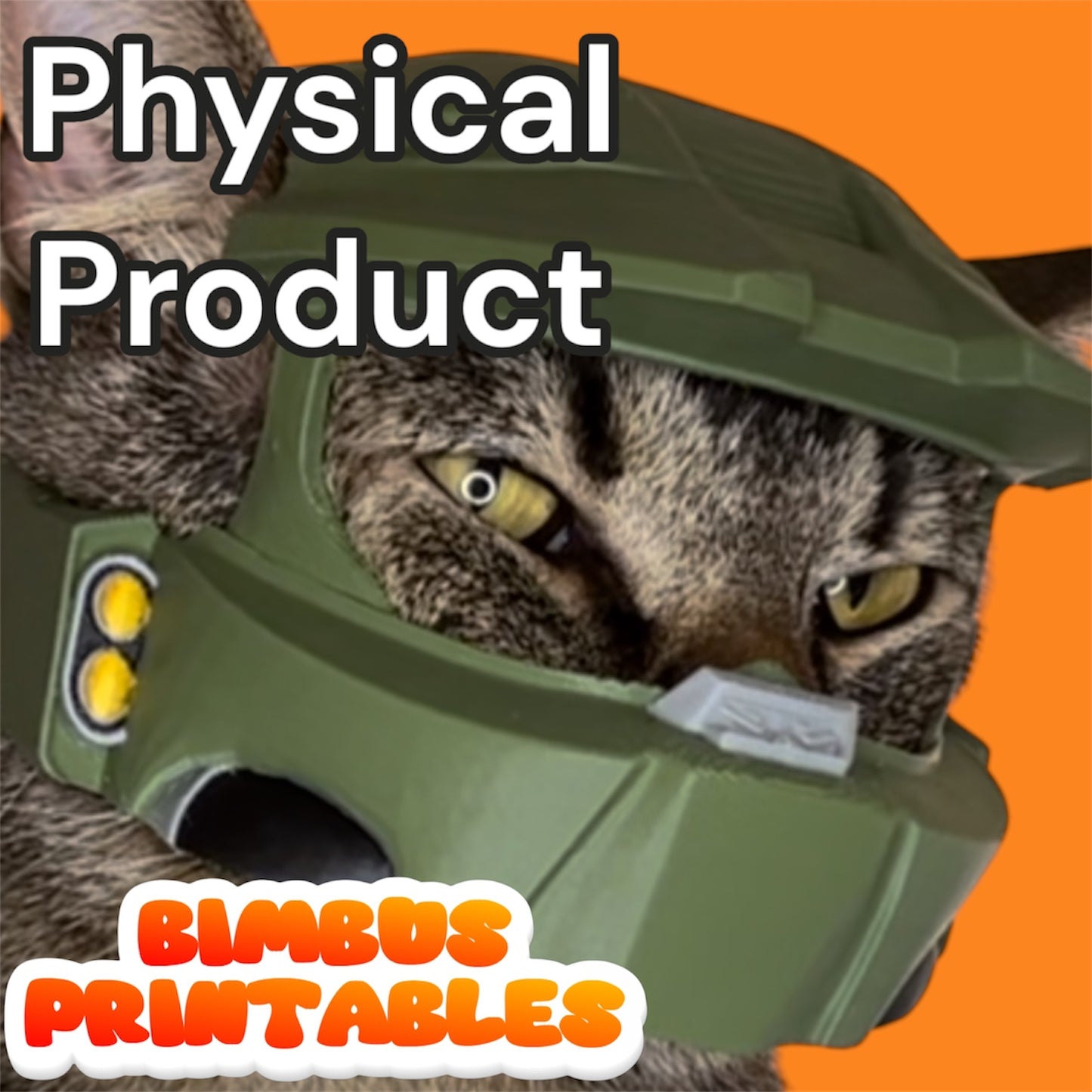 Master Bimbus Cat Helmet  [Physical Product]