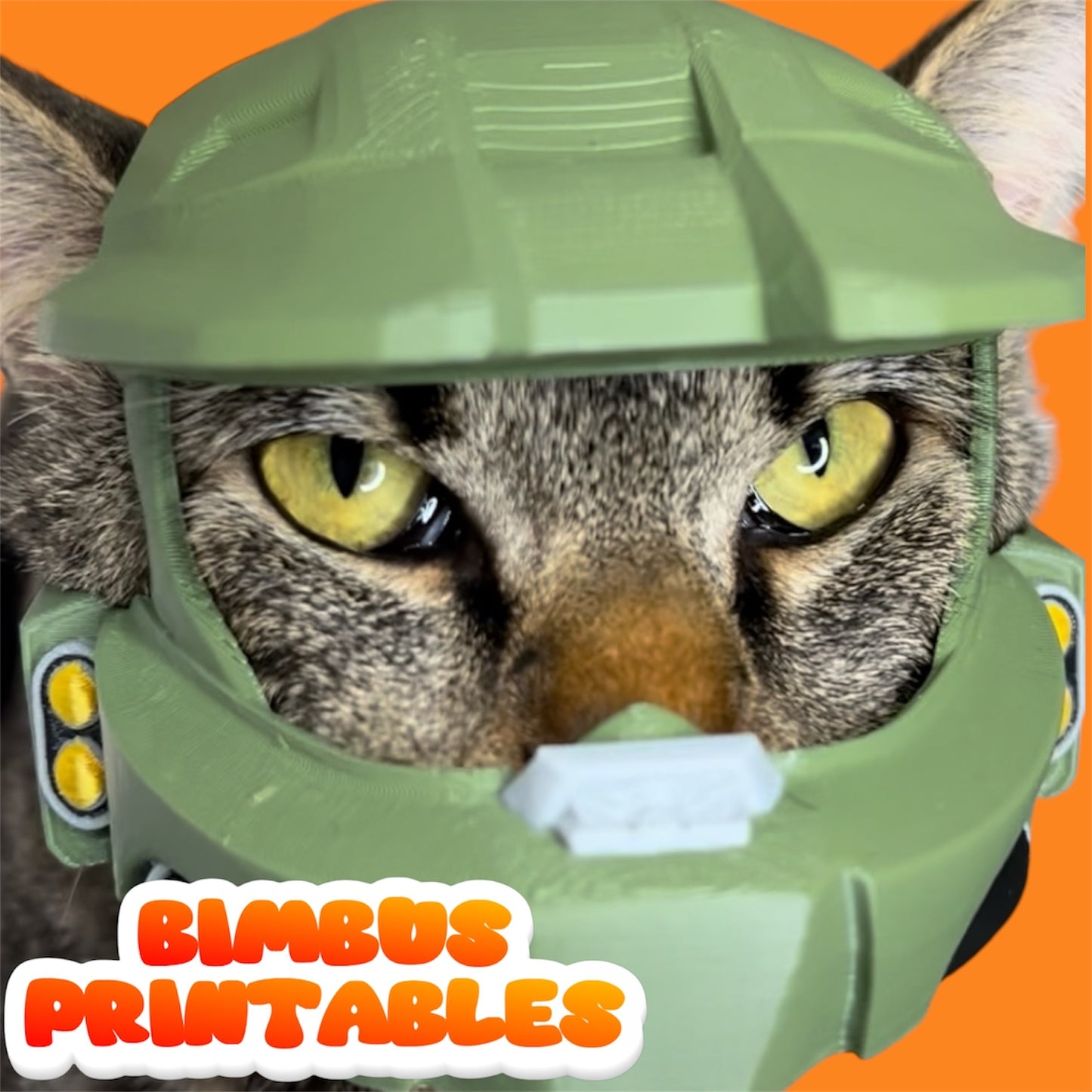 Master Bimbus Cat Helmet  [Physical Product]