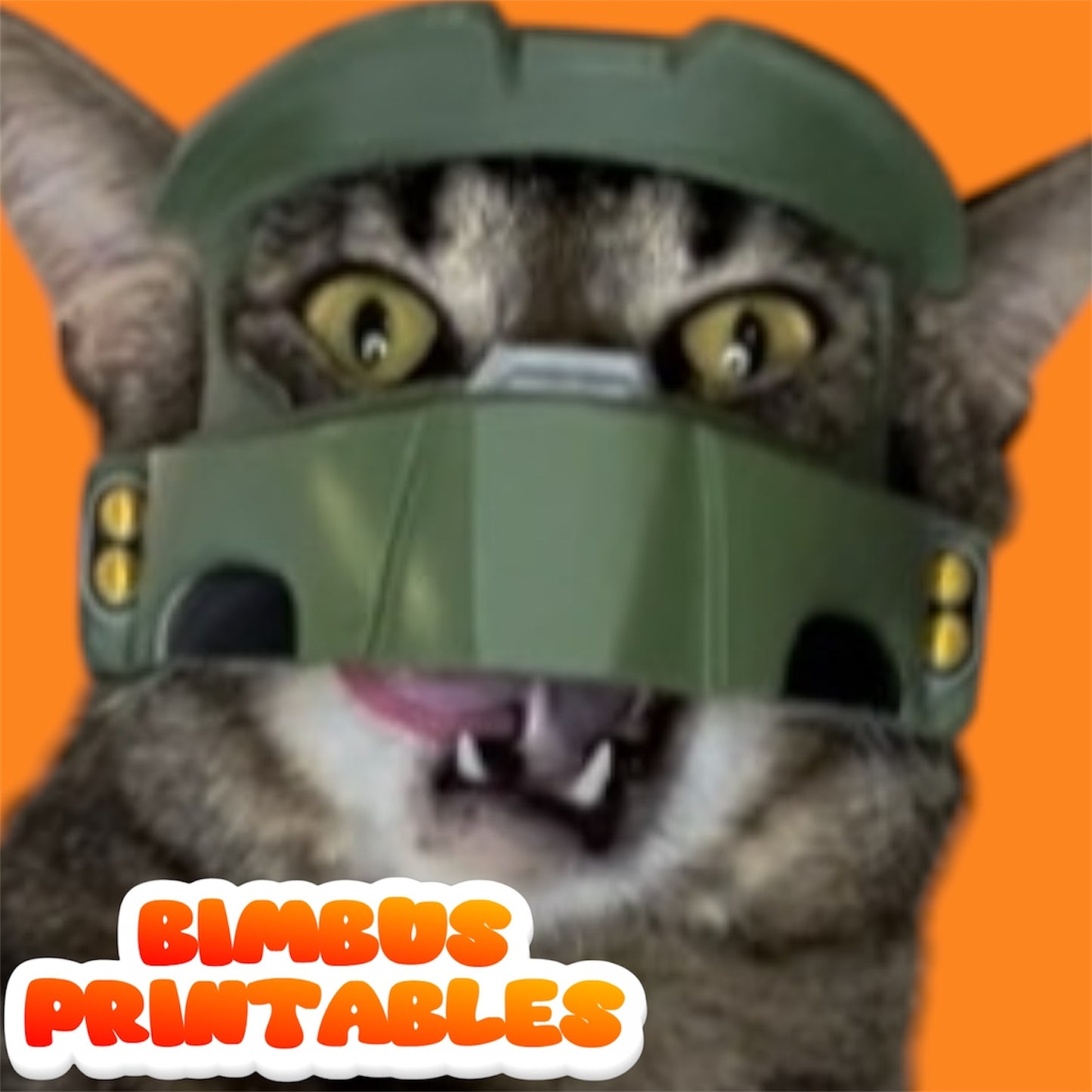 Master Bimbus Cat Helmet  [Physical Product]
