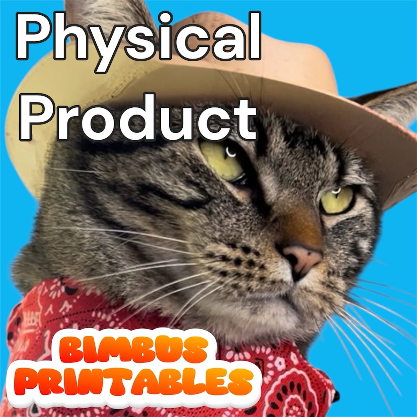 Cowboy Cat Hat [Physical Product]