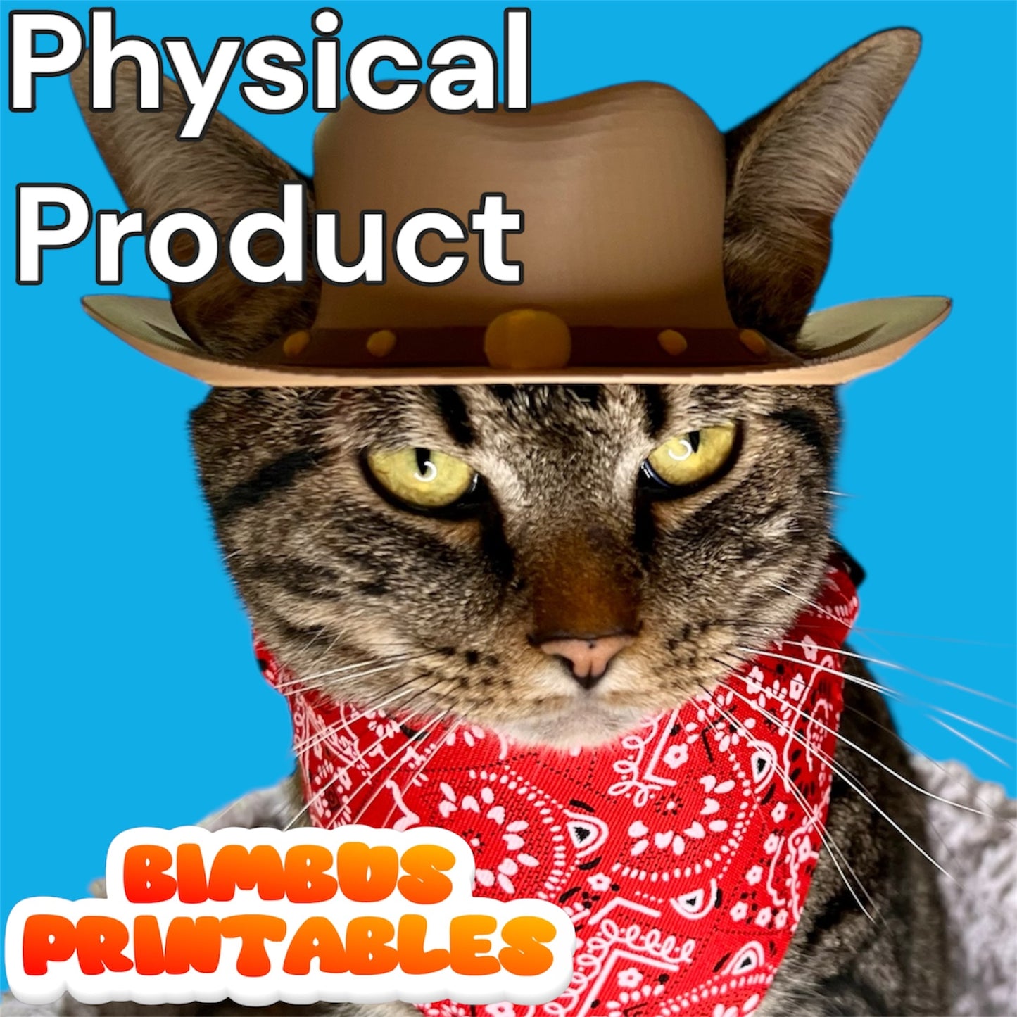 Cowboy Cat Hat [Physical Product]