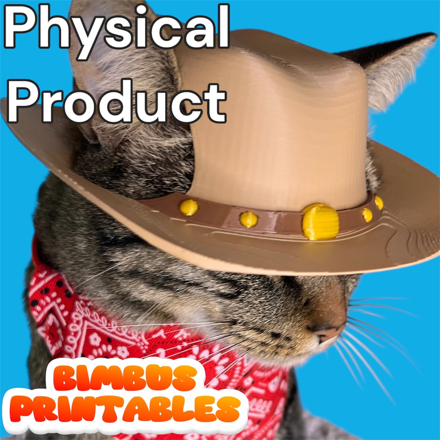 Cowboy Cat Hat [Physical Product]