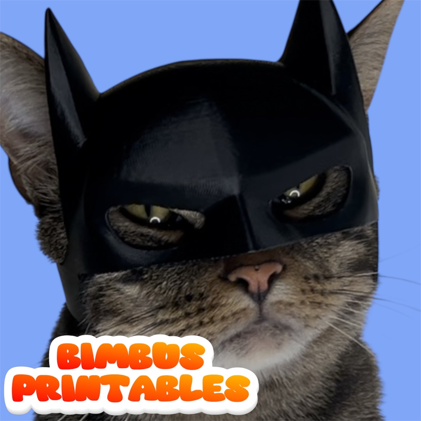 BatBimbus Cat Hat [Physical Product]