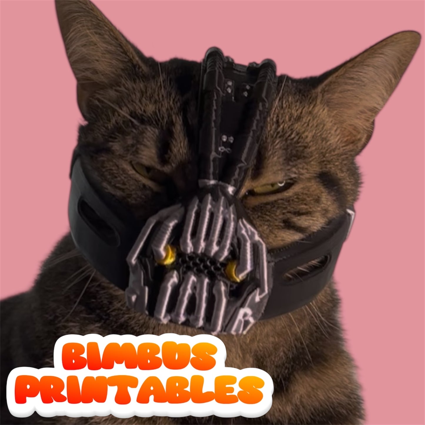 Bainbus Cat Helmet [Physical Product]