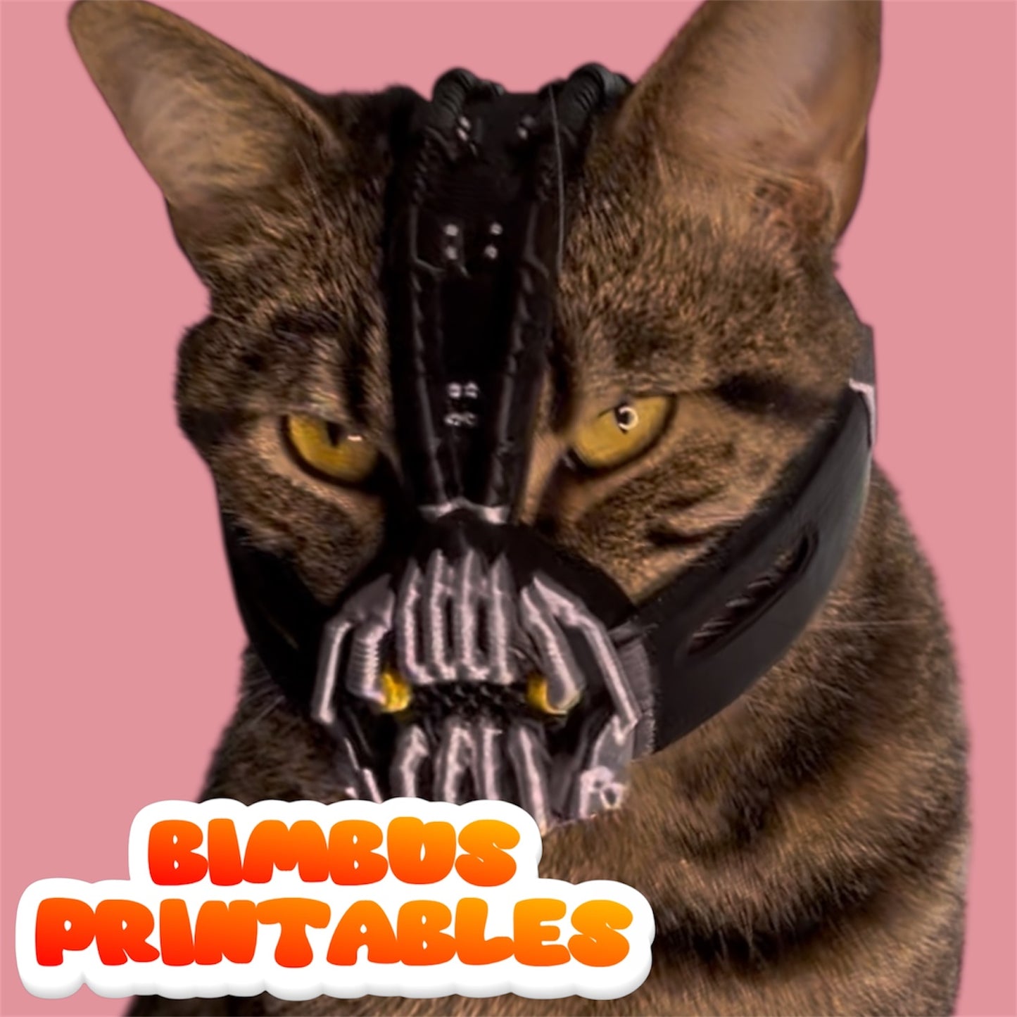 Bainbus Cat Helmet [Physical Product]