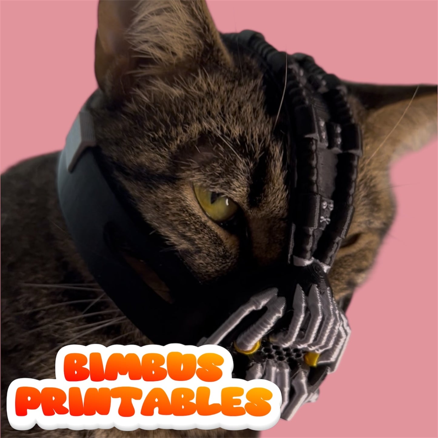 Bainbus Cat Helmet [Physical Product]