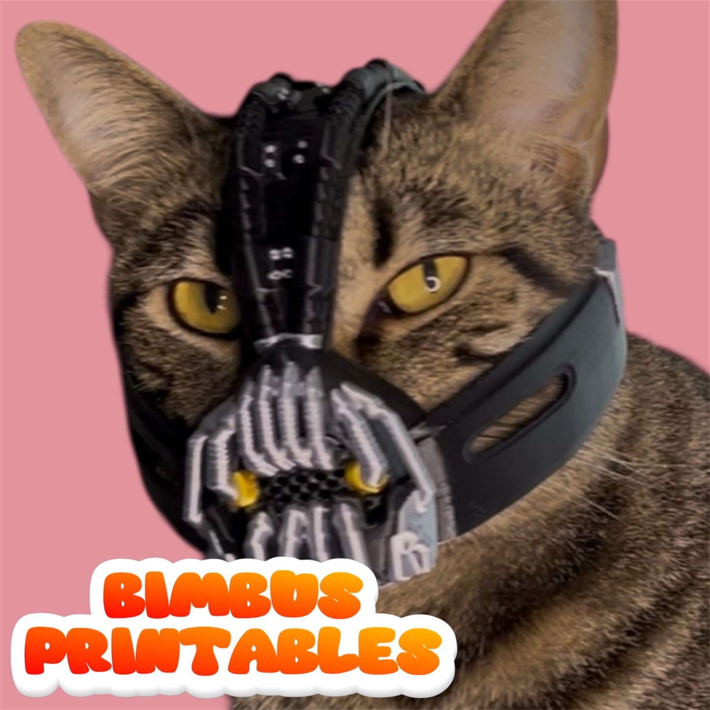 Bainbus Cat Helmet [Physical Product]