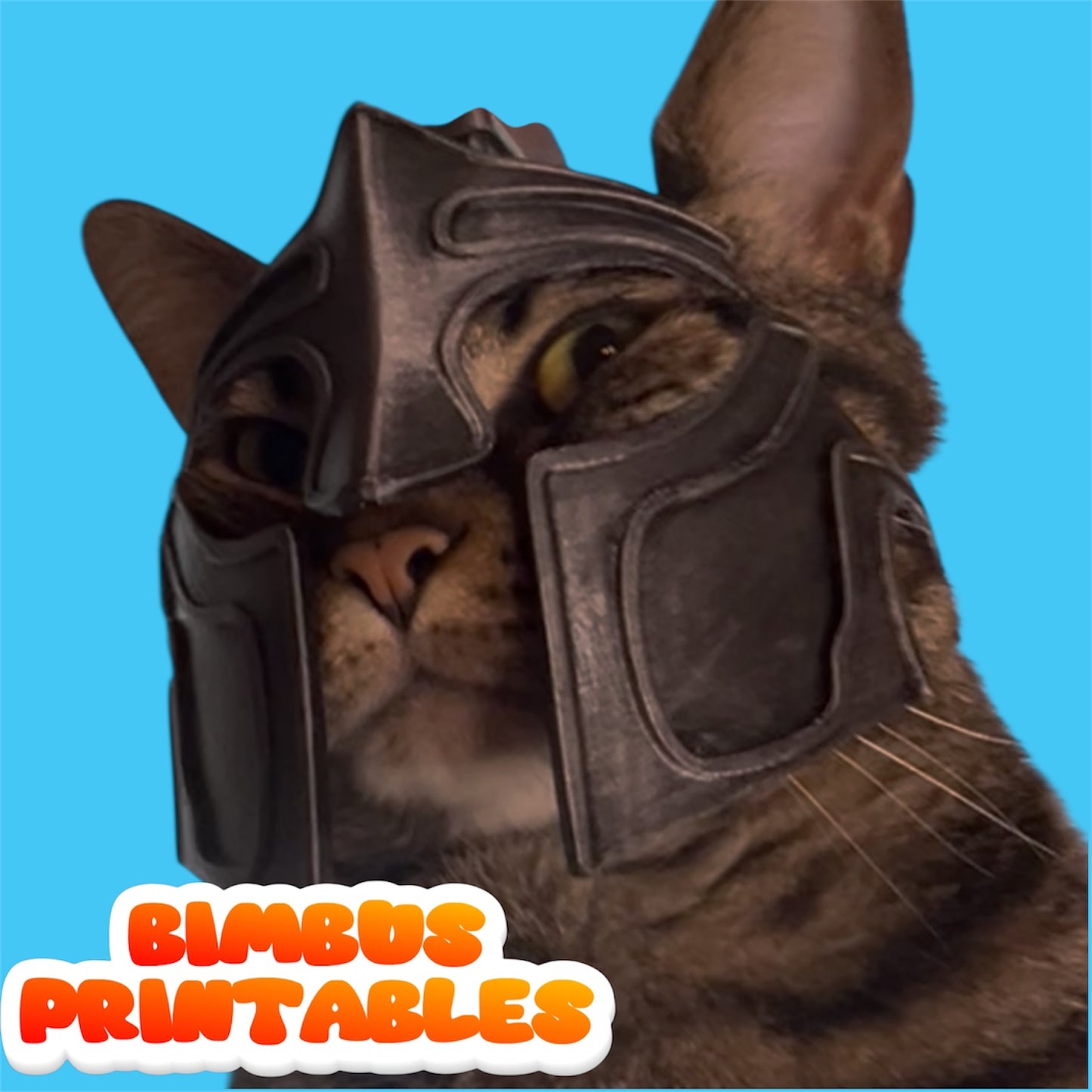 Sparta Cat Helmet [Physical Helmet]