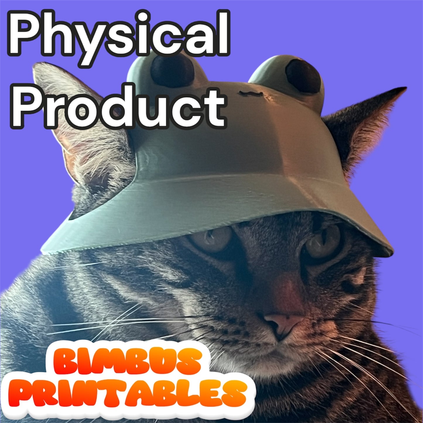 Froggie Cat Hat [Physical Helmet]