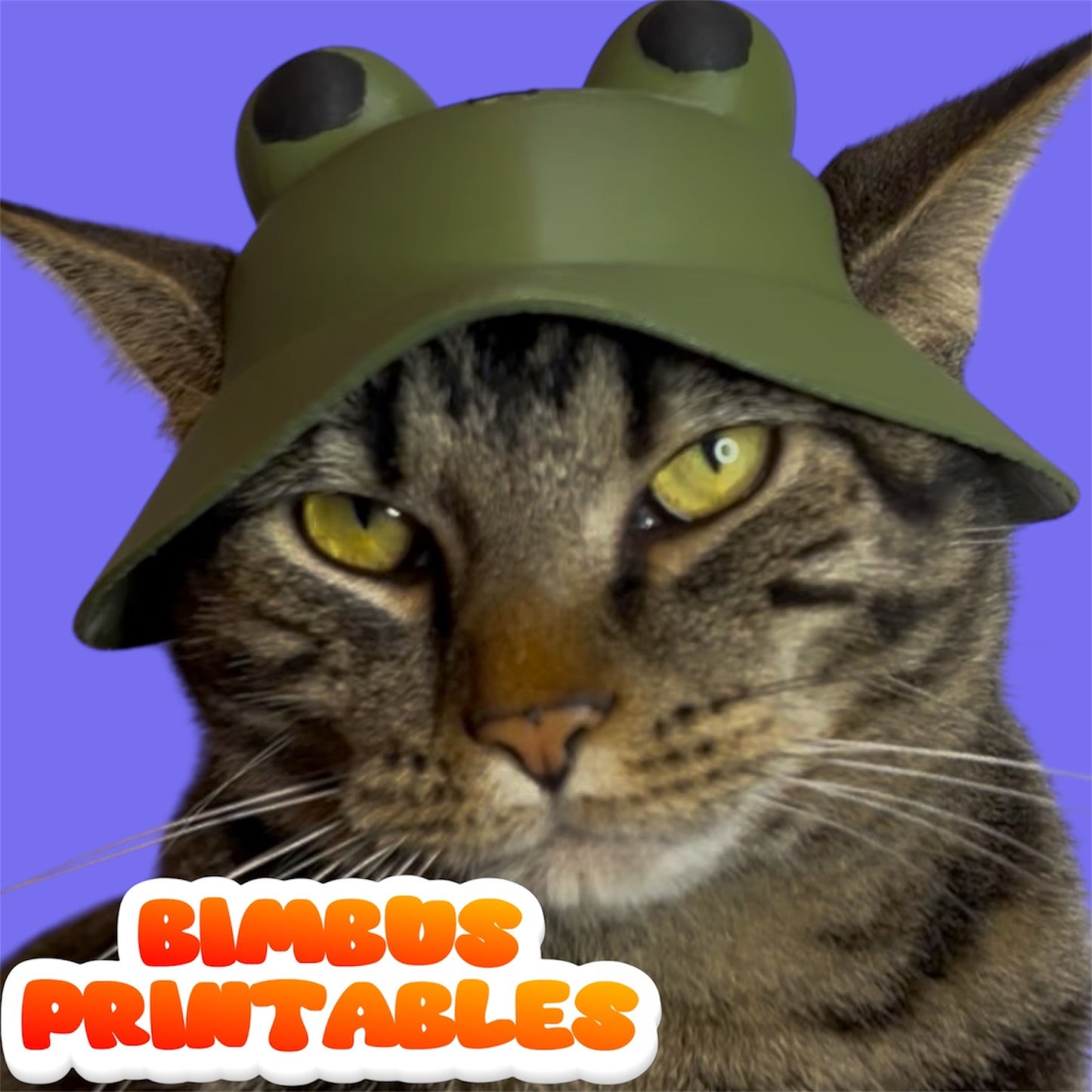 Froggie Cat Hat [Physical Helmet]