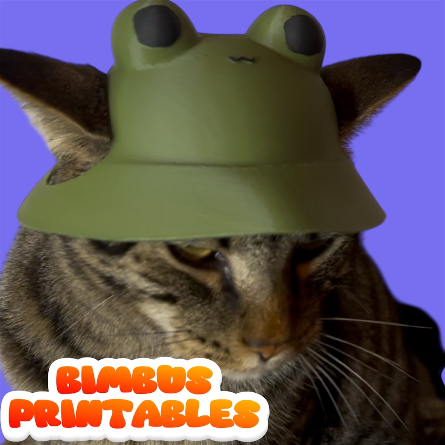 Froggie Cat Hat [Physical Helmet]