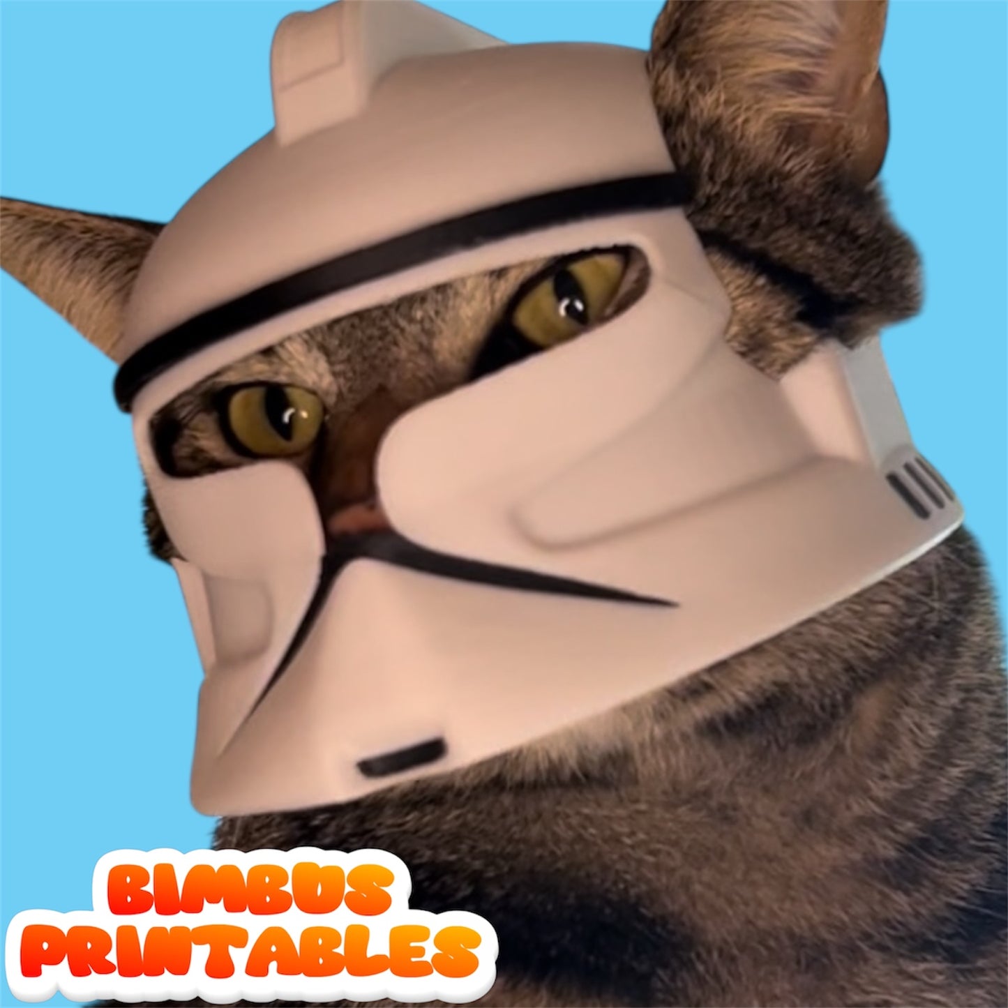 Bimbus Clone Army Cat Helmet [Physical Helmet]