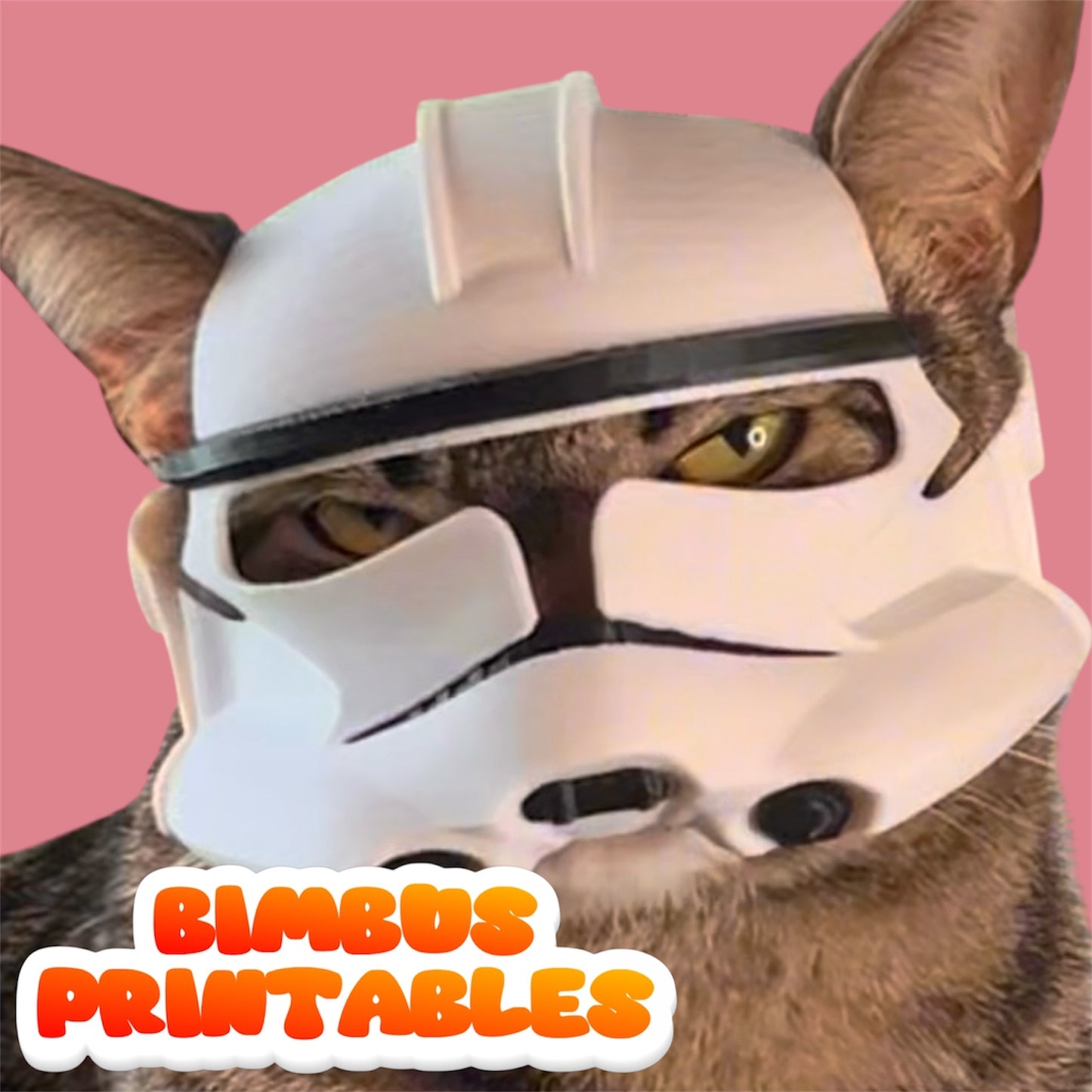 Bimbus Clone Cat Helmet #2 [Physical Helmet]