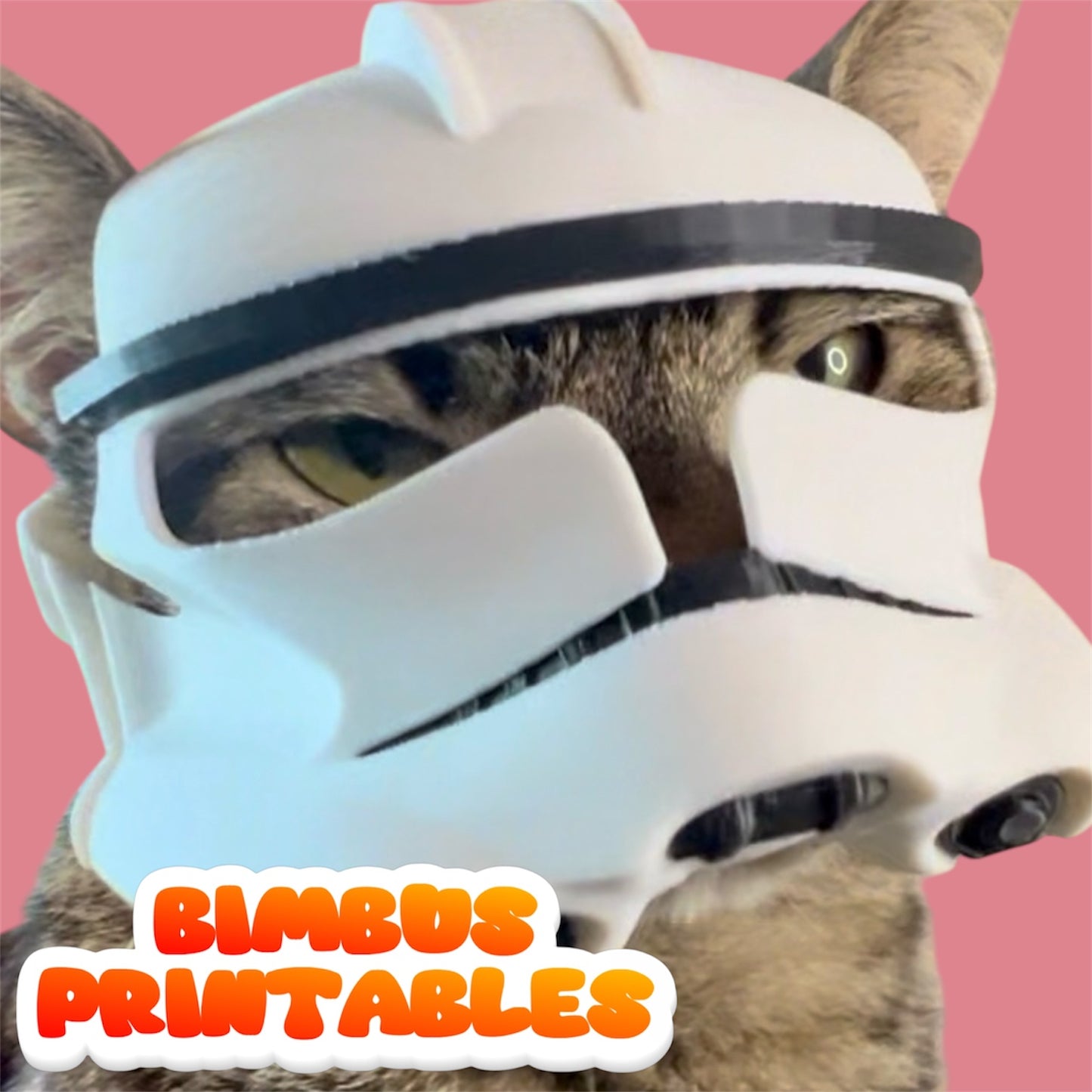 Bimbus Clone Cat Helmet #2 [Physical Helmet]