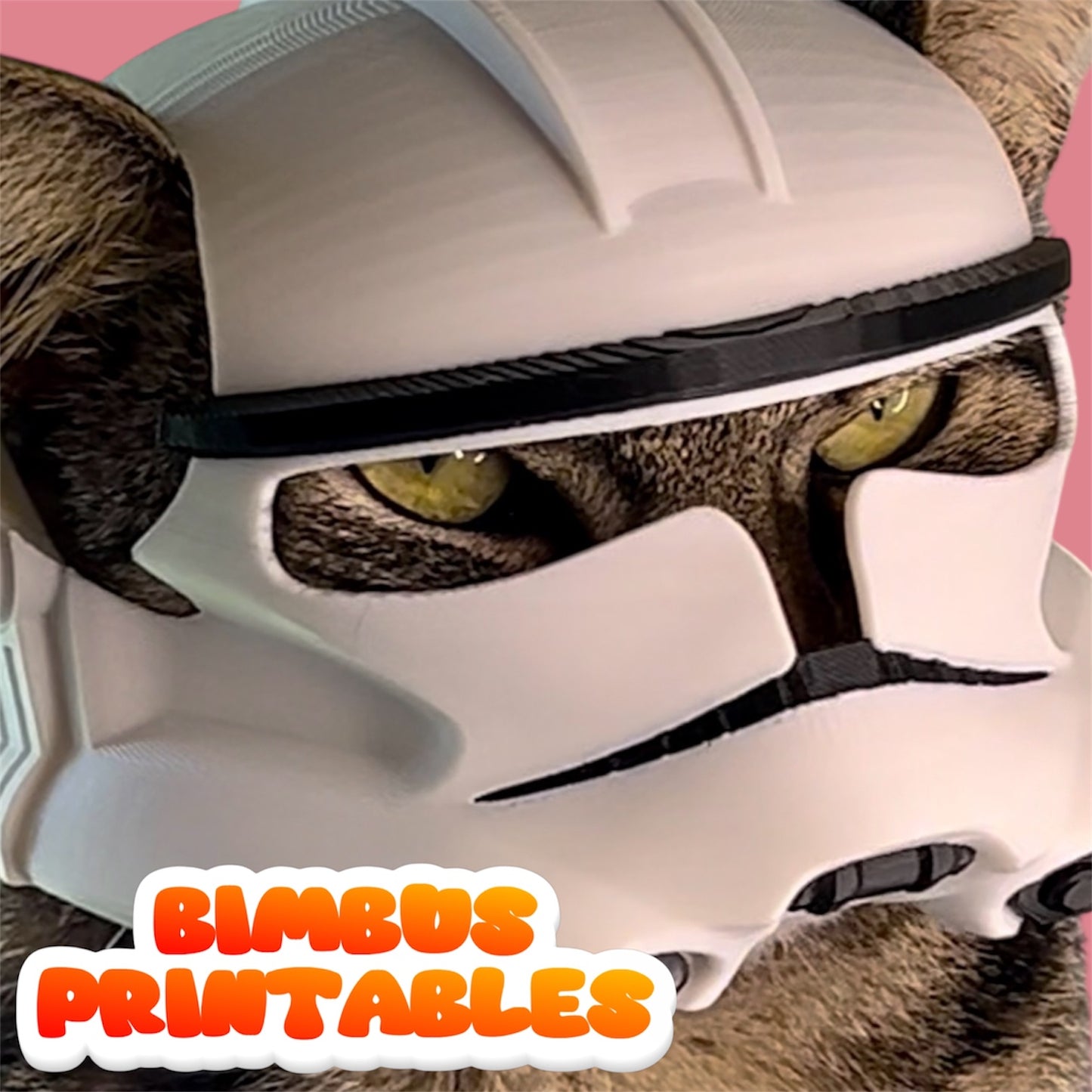 Bimbus Clone Cat Helmet #2 [Physical Helmet]
