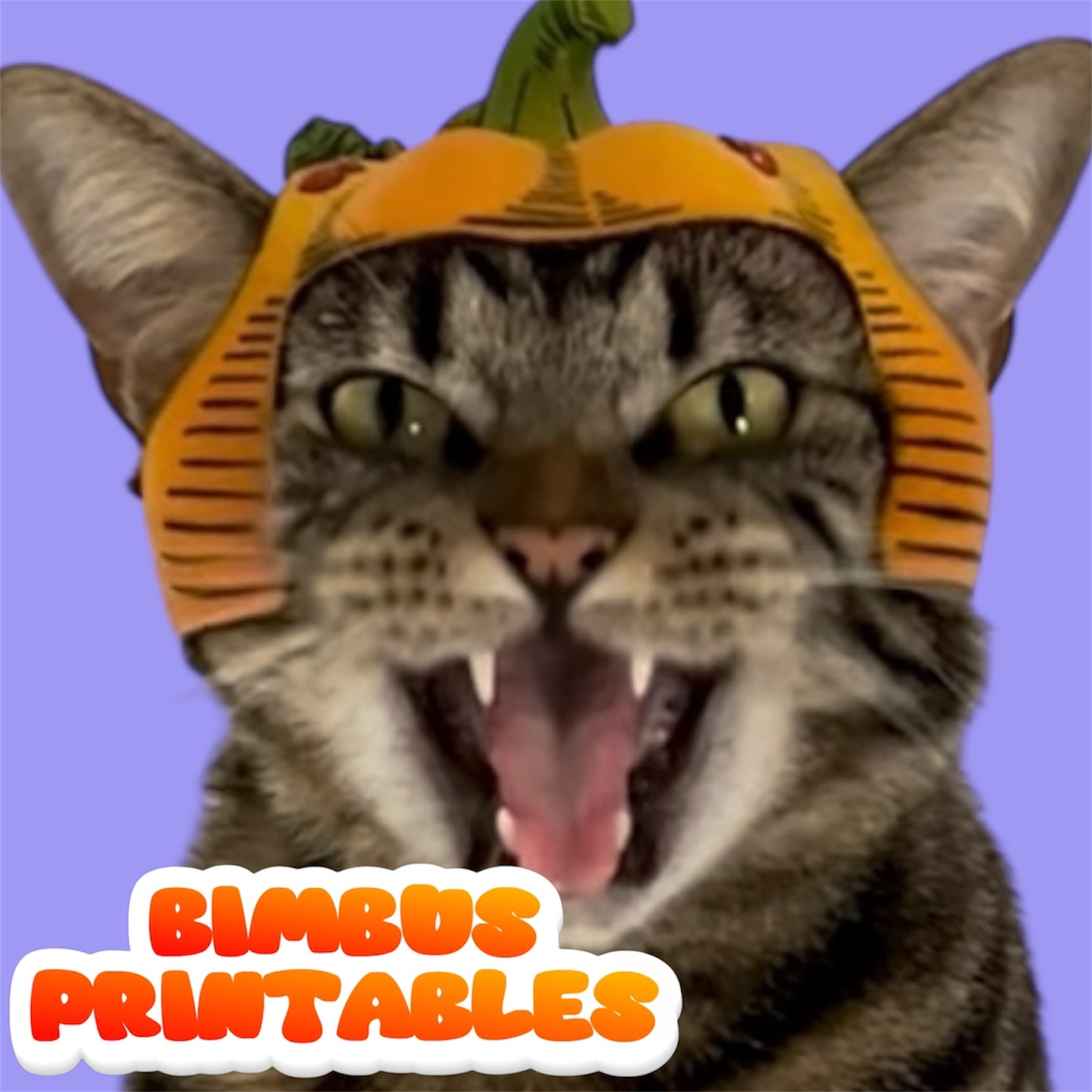 Pumpkin Cat Hat