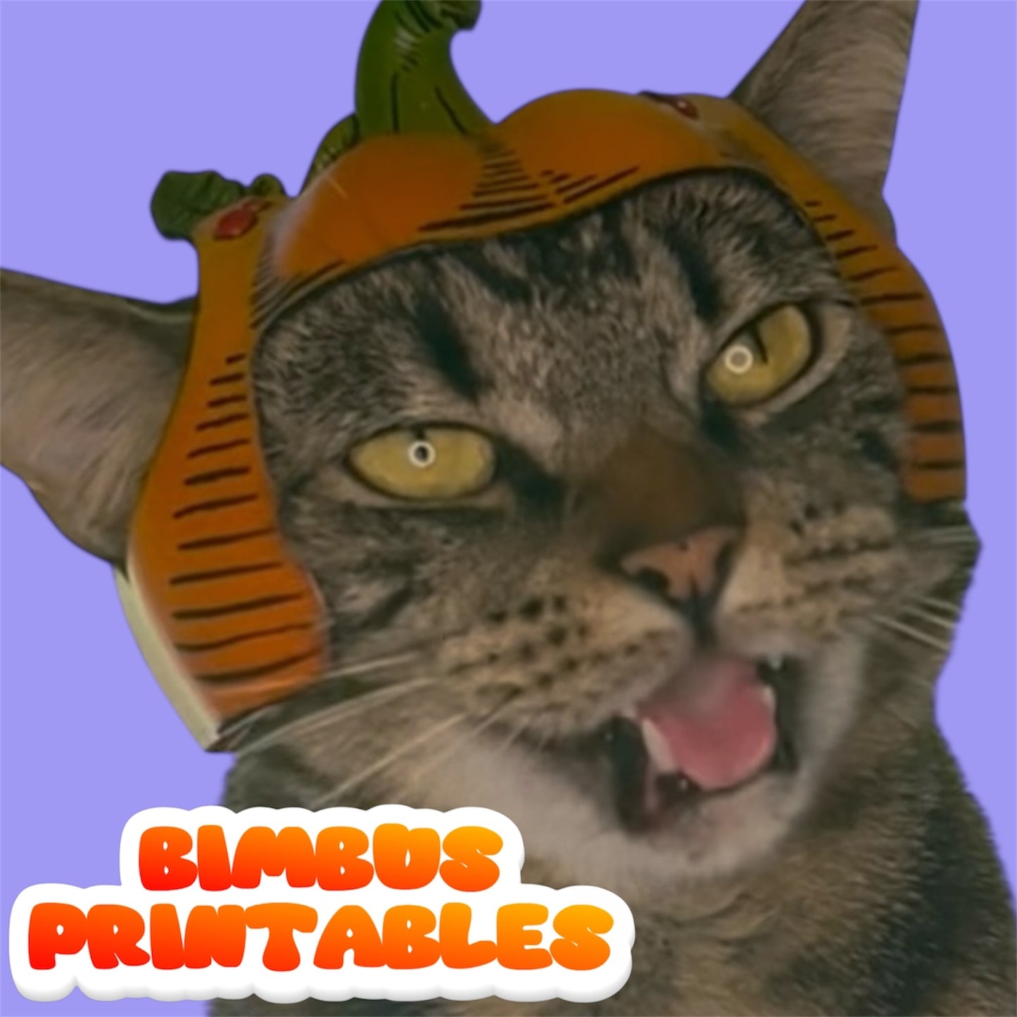 Pumpkin Cat Hat