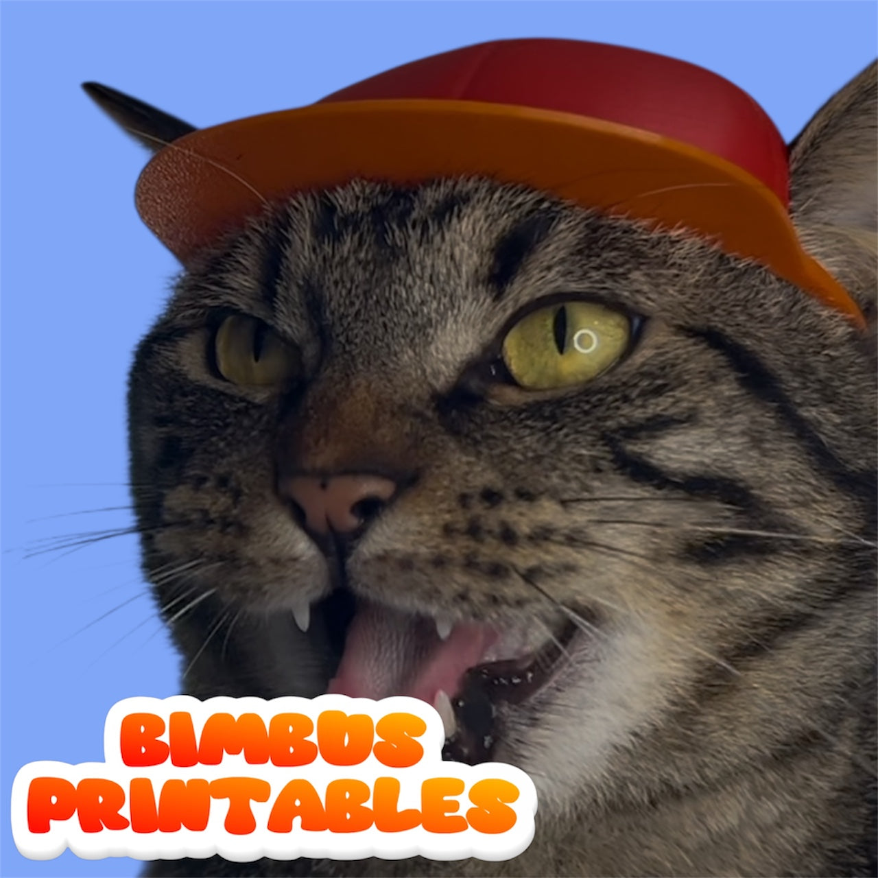 Baseball Cat Cap [Physical Product] (NEW)