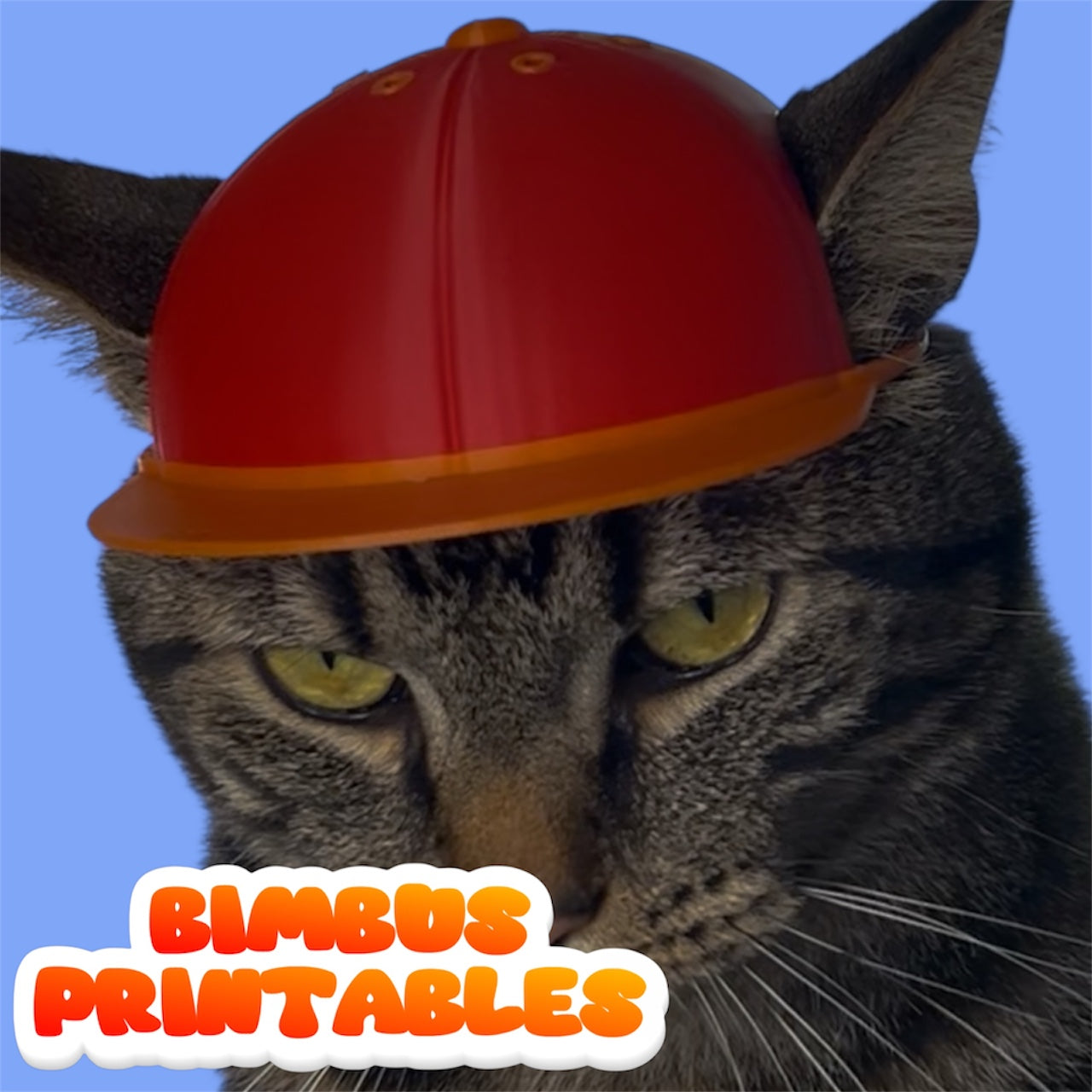 Baseball Cat Cap [Physical Product] (NEW)