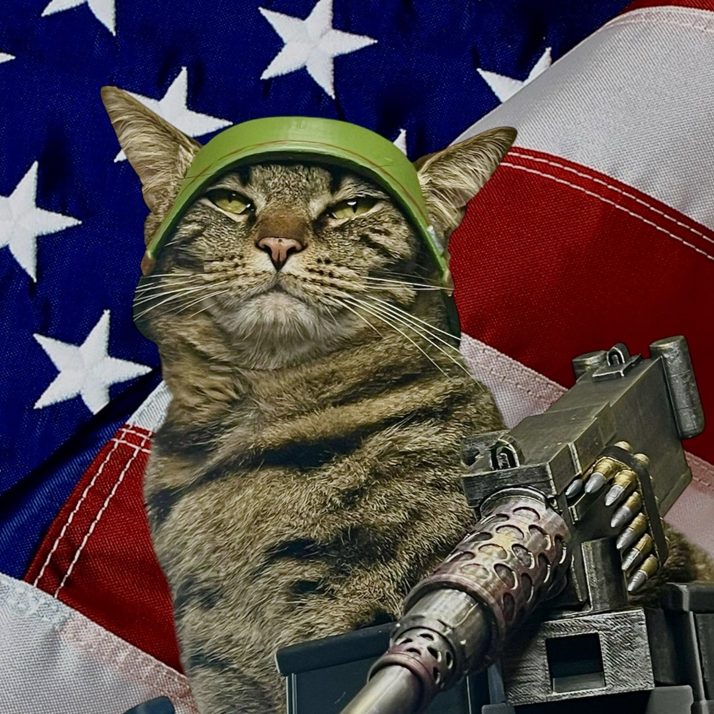WW2 American Cat Helmet
