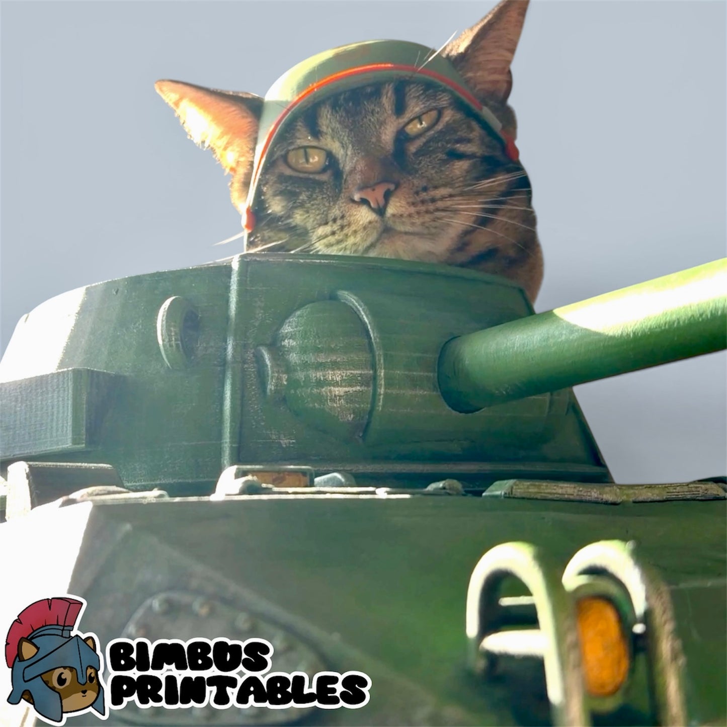 Cat Tank