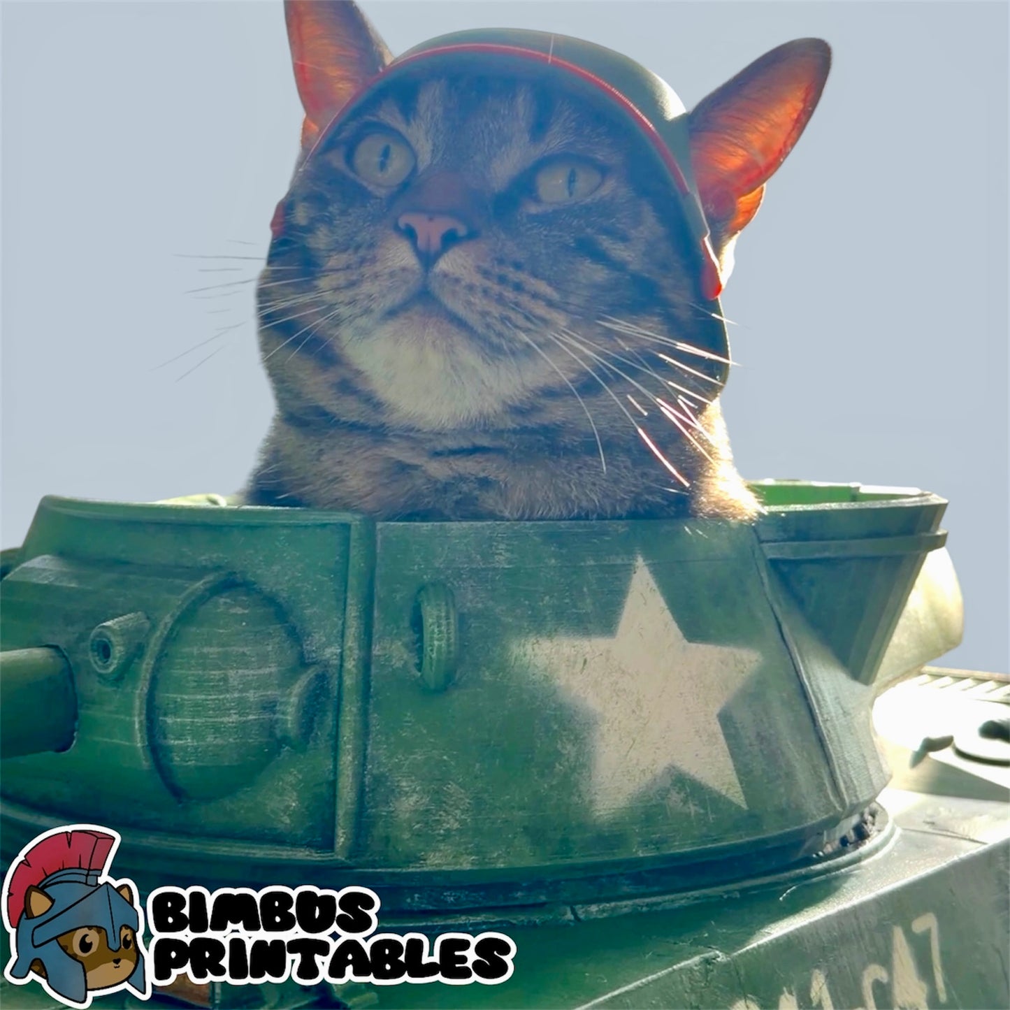 Cat Tank